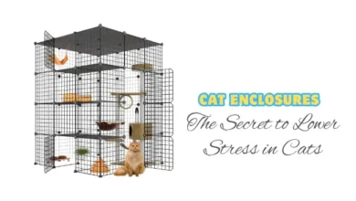 Cat Enclosures