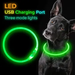 dog collar with led light