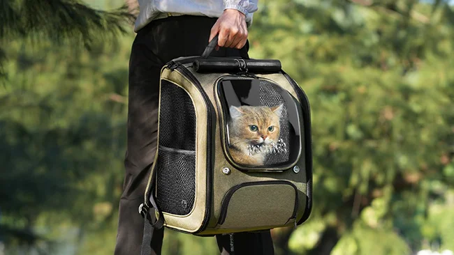 Best Bubble Cat Backpack Carrier for Pet Travel