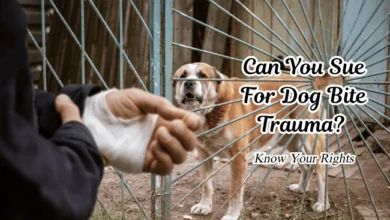 Can You Sue For Dog Bite Trauma