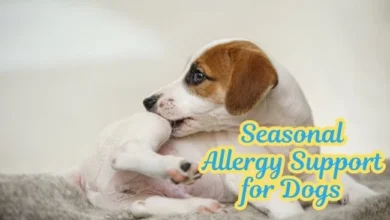 Seasonal Allergy Support for Dogs