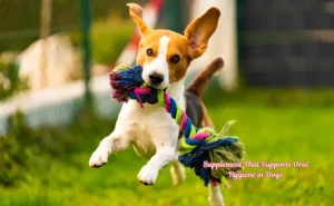 Supplement That Supports Oral Hygiene in Dogs