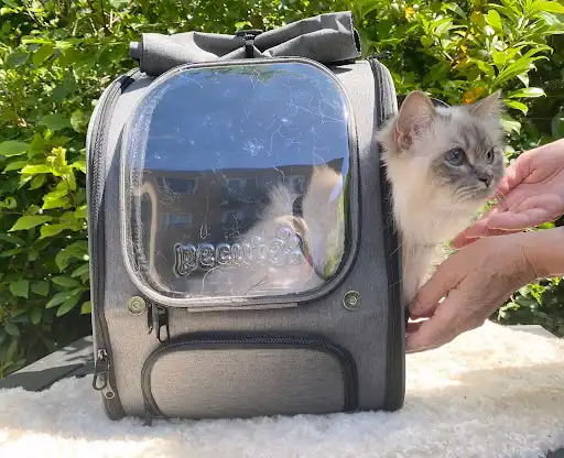 backpack includes a built-in roller sunshade