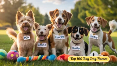 boy dog names