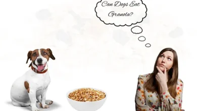 Can Dogs Eat Granola