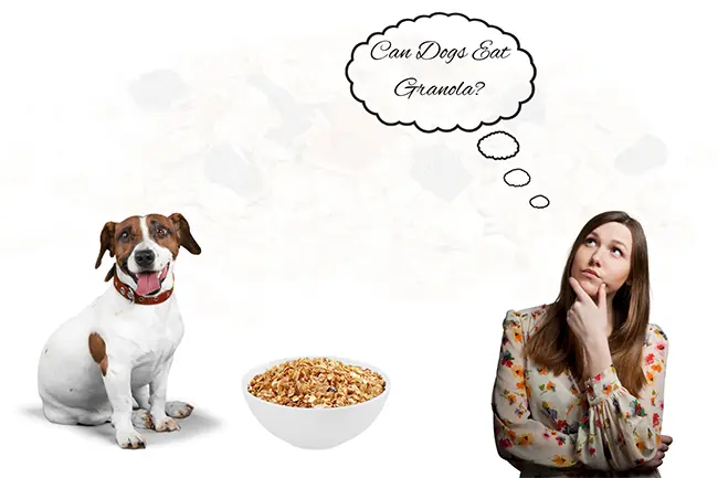 Can Dogs Eat Granola