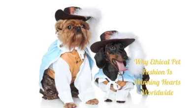 Why Ethical Pet Fashion Is Winning Hearts Worldwide