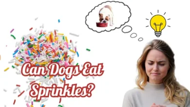 Can Dogs Eat Sprinkles?