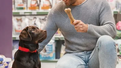 Profitable Natural Dog Treats for Retail Success