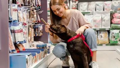 Start Your Pet Treat Business: Finding & Selling the Best