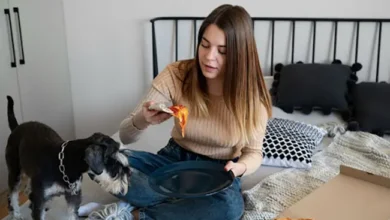 The Hidden Science of Making Pet Food Taste Amazing