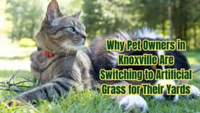 Why Pet Owners in Knoxville Are Switching to Artificial Grass for Their Yards