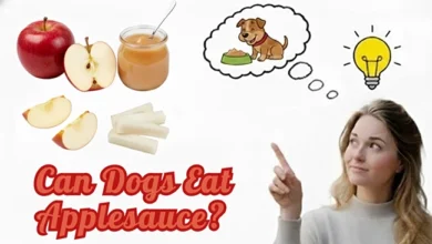Can Dogs Eat Applesauce?