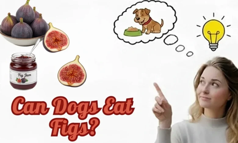 Can Dogs Eat Figs