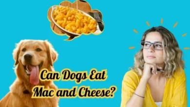 Can Dogs Eat Mac and Cheese?