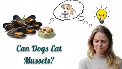 Can Dogs Eat Mussels
