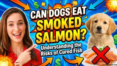 Can Dogs Eat Smoked Salmon