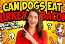Can Dogs Eat Turkey Bacon?