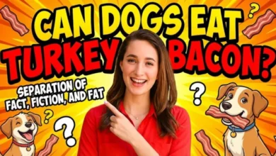 Can Dogs Eat Turkey Bacon?