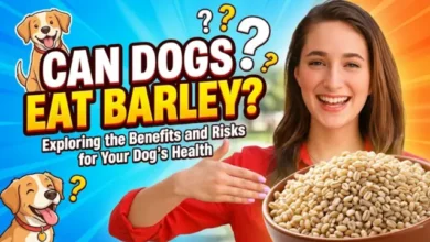 Can Dogs Eat Barley