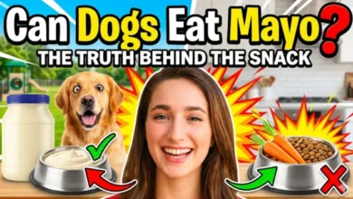 Can Dogs Eat Mayo?