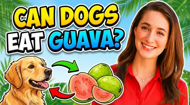 Can Dogs Eat Guava? Vet-Approved Safety Guide 2026