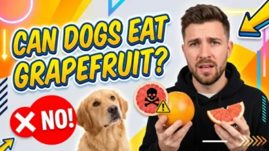 Can Dogs Eat Grapefruit
