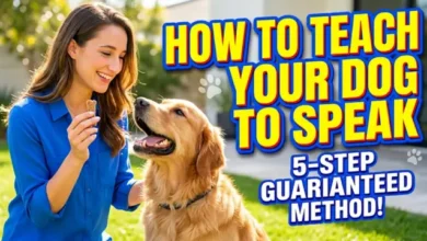 How to Teach Your Dog to Speak