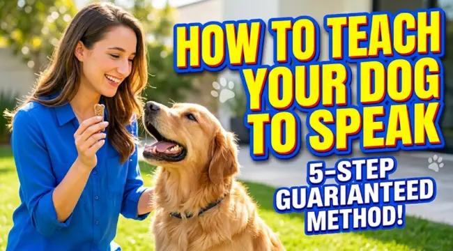 How to Teach Your Dog to Speak: 5-Step Training Tutorial