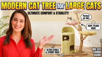 Modern Cat Tree for Large Cats: Comfort, Style, and Stability for Bigger Felines