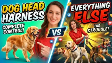 Dog Head Harness vs Everything Else