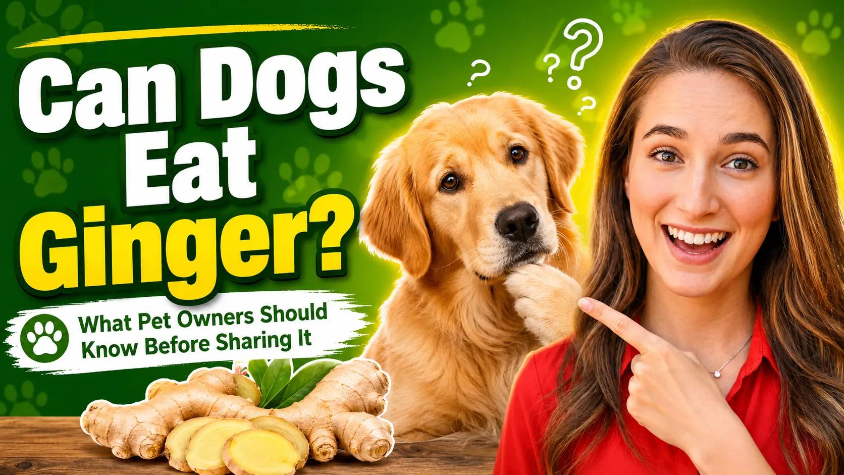 Can Dogs Eat Ginger? What Pet Owners Should Know Before Sharing It