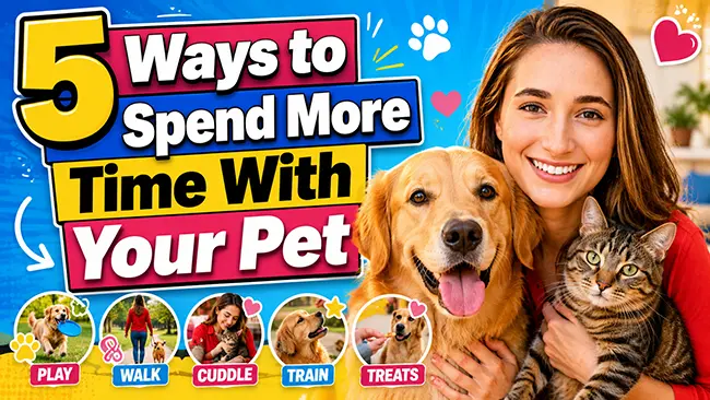 5 Ways to Spend More Time With Your Pet
