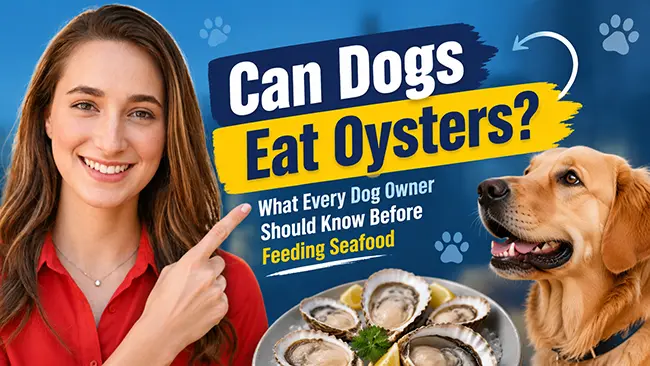 Can Dogs Eat Oysters