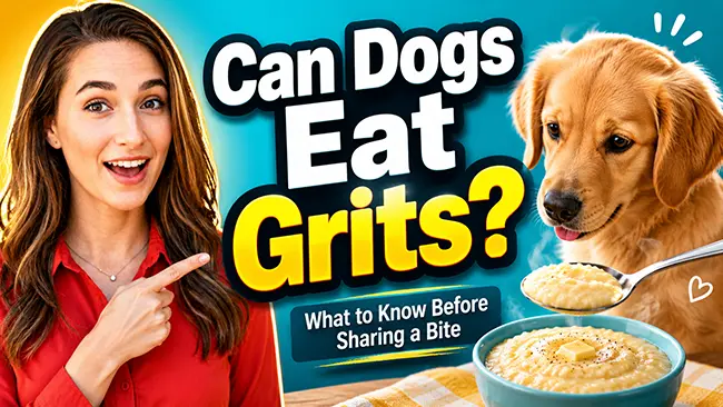 Can Dogs Eat Grits? What to Know Before Sharing a Bite