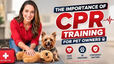 The Importance of CPR Training for Pet Owners