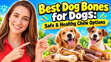 Best Dog Bones for Dogs
