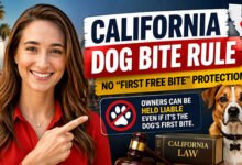 California Dog Bite Rule