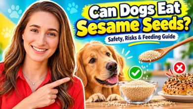 Can Dogs Eat Sesame Seeds